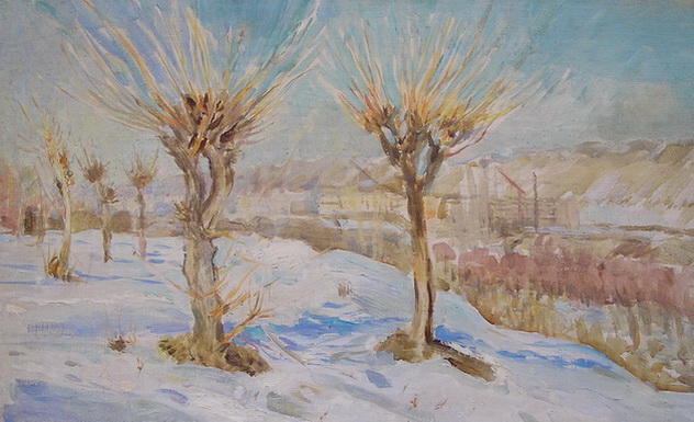 Зима в Оше